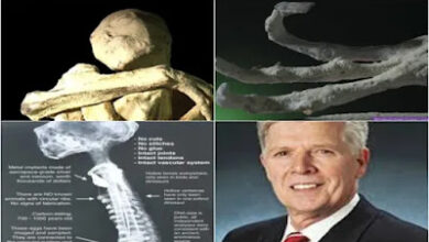 El expresidente de la Academia Estadounidense de Ciencias Forenses dice que las momias de Nazca son reales