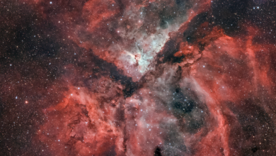 Enfoque de la NASA: la gran nebulosa es la foto astronómica del día