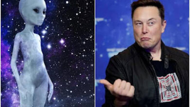 Musk dice que todavía no ha visto "ninguna evidencia de extraterrestres"