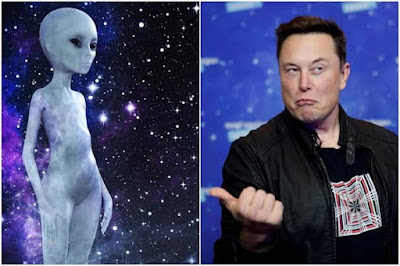 Musk dice que todavía no ha visto "ninguna evidencia de extraterrestres"
