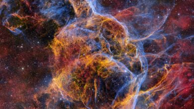 NASA Spotlight: Starburst es la foto astronómica del día
