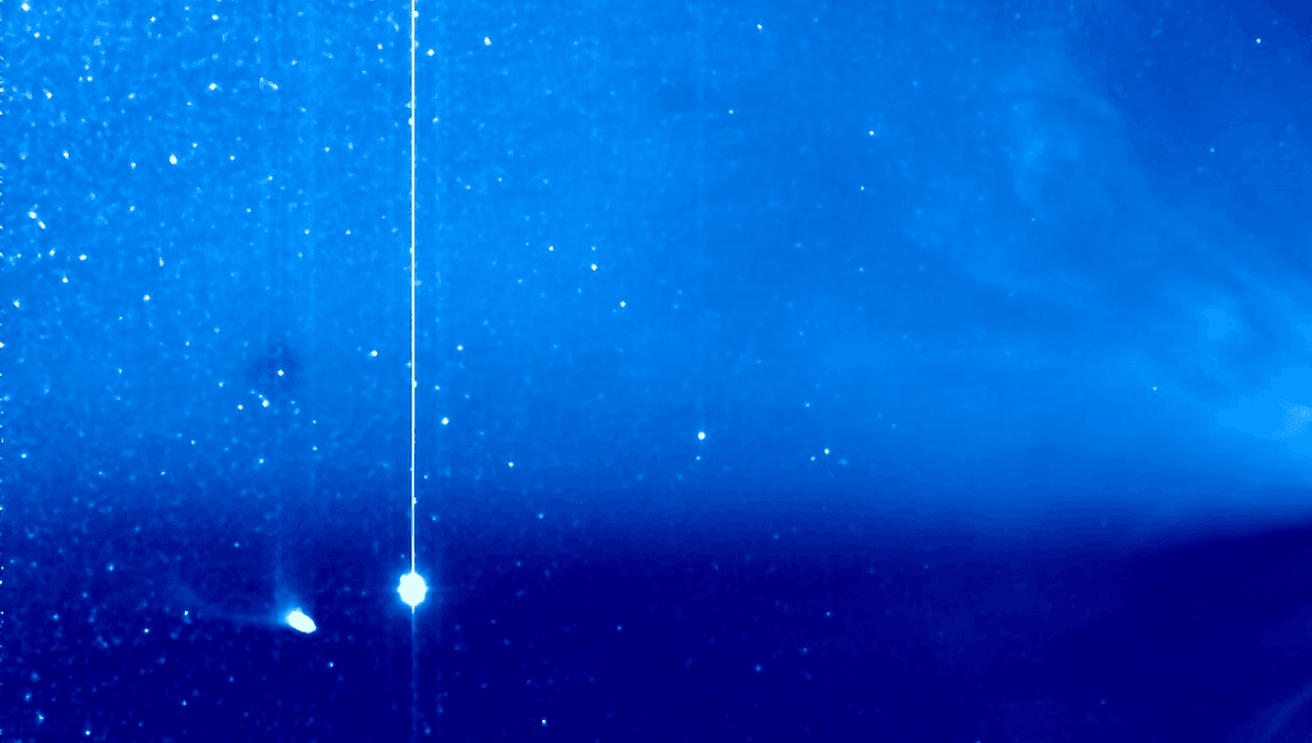 Observe cómo el Sol arranca brevemente la cola del cometa diablo 6 Observe cómo el Sol arranca brevemente la cola del cometa diablo