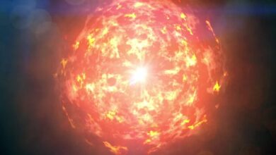 Supernova explotó cerca de la Tierra pero no se encuentran rayos