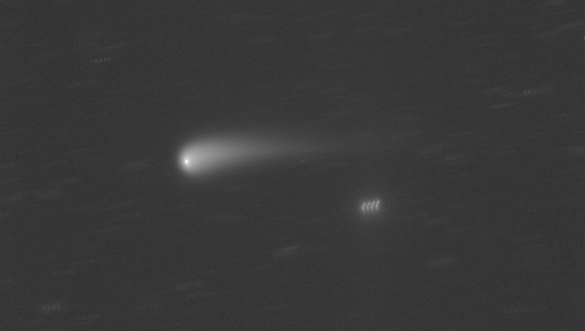 El cometa recién descubierto en su camino a la Tierra debería ser visible a simple vista pronto 6 El cometa recién descubierto en su camino a la Tierra debería ser visible a simple vista pronto
