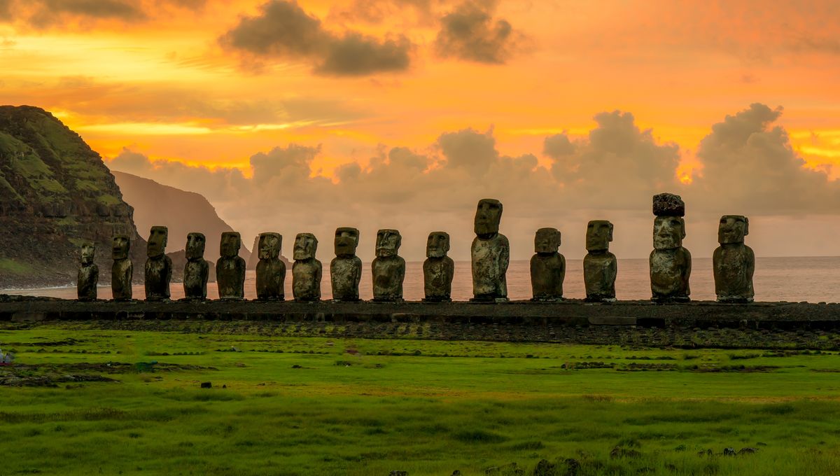 El catastrófico colapso demográfico de la Isla de Pascua probablemente nunca ocurrió en realidad 5 El catastrófico colapso demográfico de la Isla de Pascua probablemente nunca ocurrió en realidad