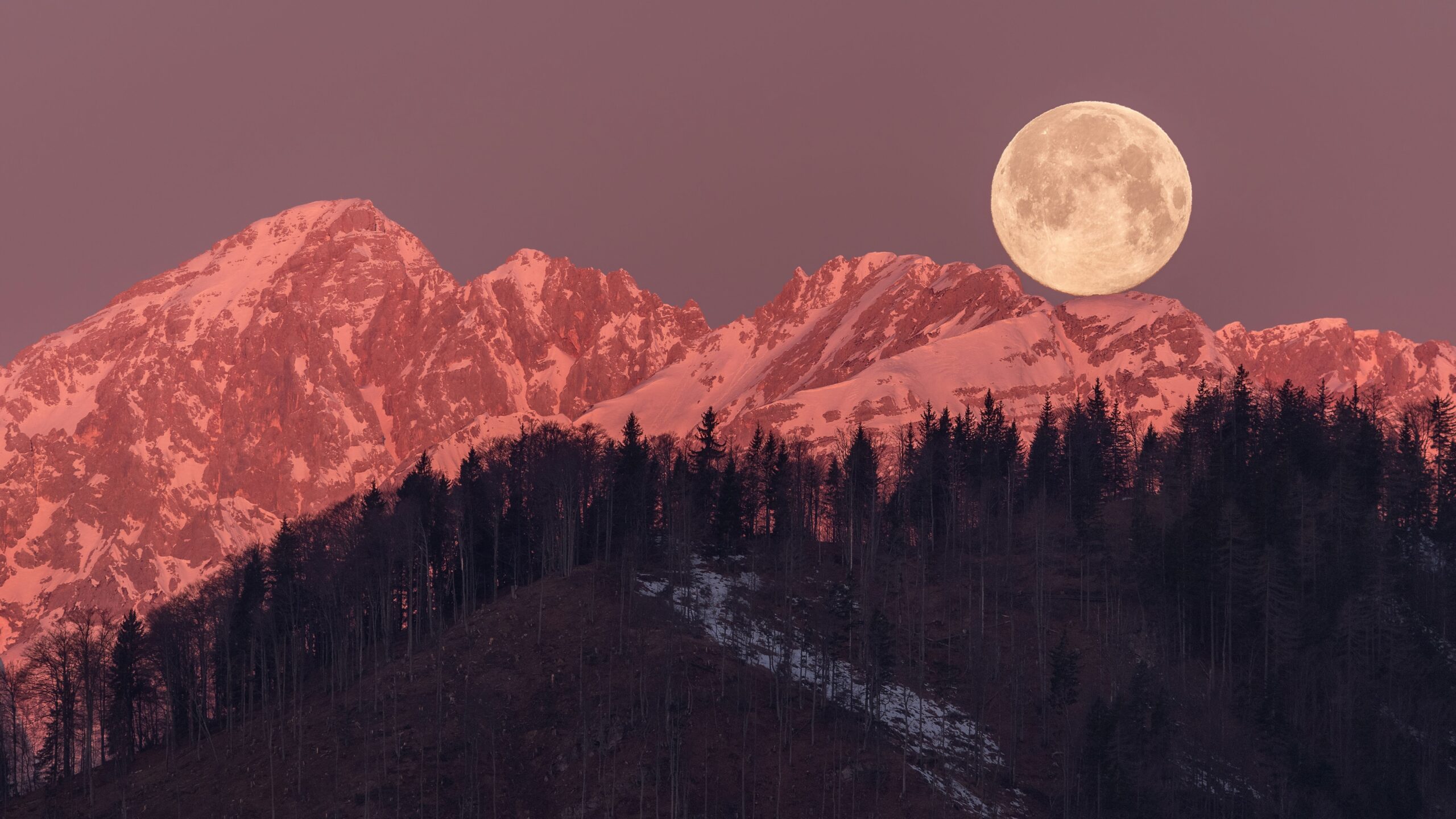 dreamypixel/Envato