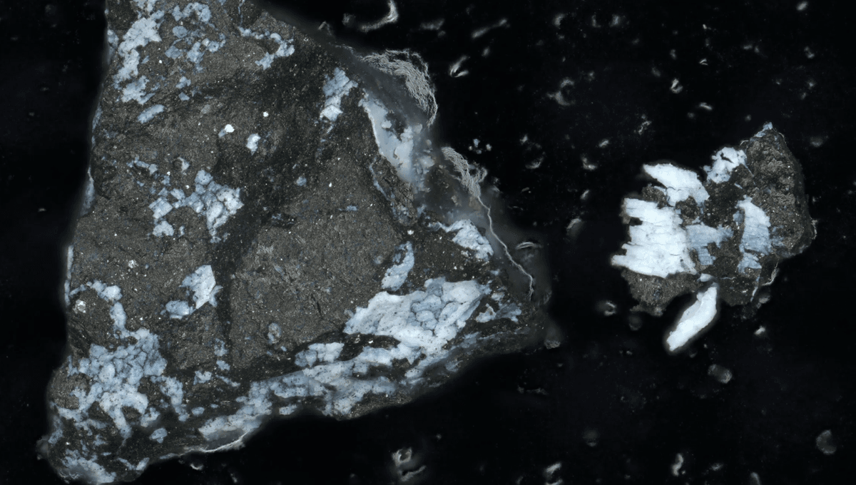 Rocas “tentadoramente hermosas” brindan más evidencia de que el asteroide Bennu proviene de un mundo húmedo 6 Rocas “tentadoramente hermosas” brindan más evidencia de que el asteroide Bennu proviene de un mundo húmedo