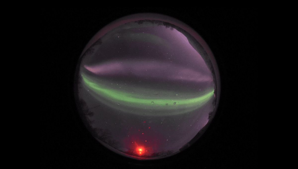 STEVE, el fenómeno parecido a la aurora púrpura, tiene un misterioso gemelo matutino 5 STEVE, el fenómeno parecido a la aurora púrpura, tiene un misterioso gemelo matutino