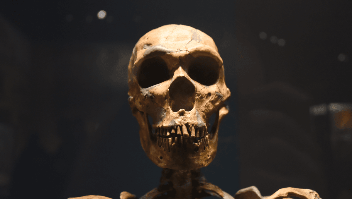 Secuencias de ADN de neandertal encontradas en menos del 1 por ciento de las personas relacionadas con el autismo