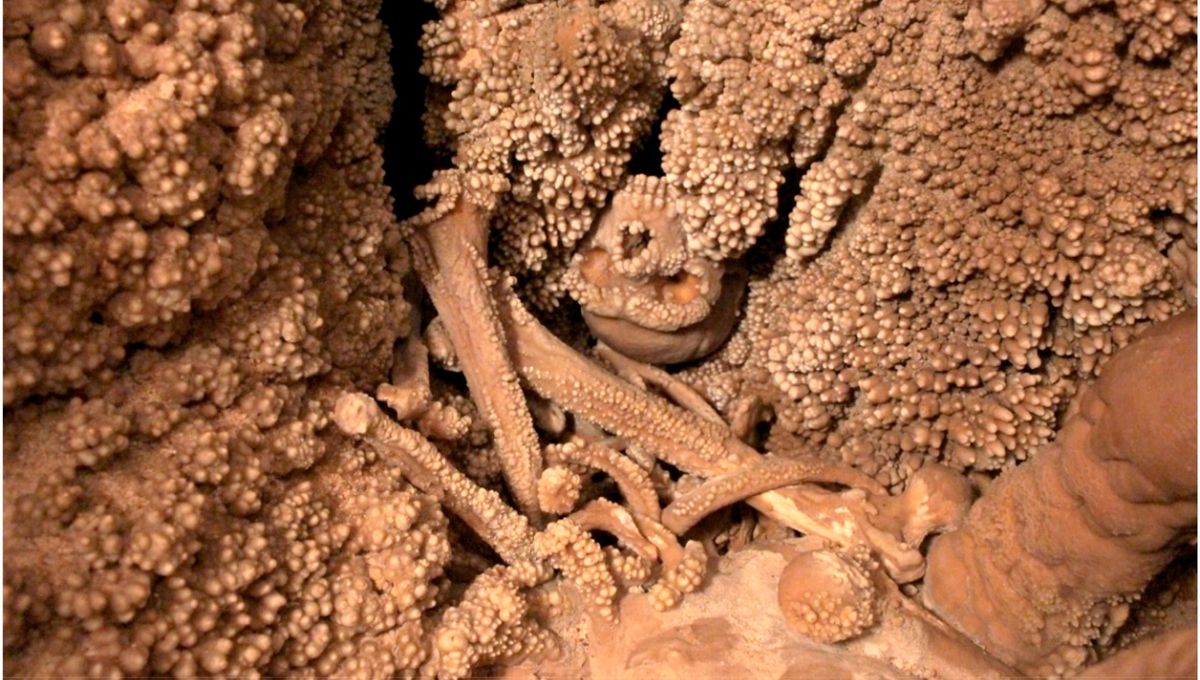 El esqueleto de neandertal más completo jamás encontrado aún no ha podido ser excavado 5 El esqueleto de neandertal más completo jamás encontrado aún no ha podido ser excavado