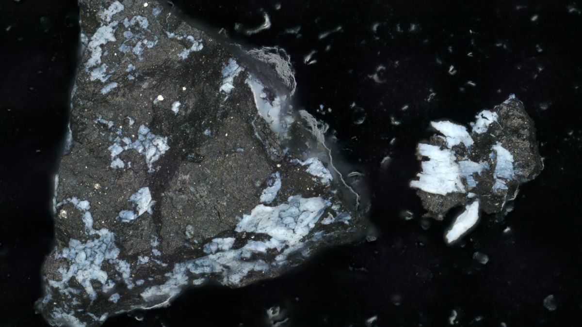 La NASA encuentra compuestos relacionados con la presencia de agua en el asteroide Bennu 5 Lauretta et al, 2024/Meteoritics & Planetary Science