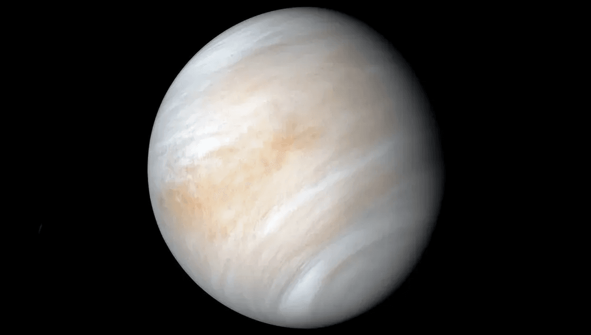 La primera canción de hip hop en el espacio profundo: la NASA envía la melodía de Missy Elliott a Venus 5 La primera canción de hip hop en el espacio profundo: la NASA envía la melodía de Missy Elliott a Venus