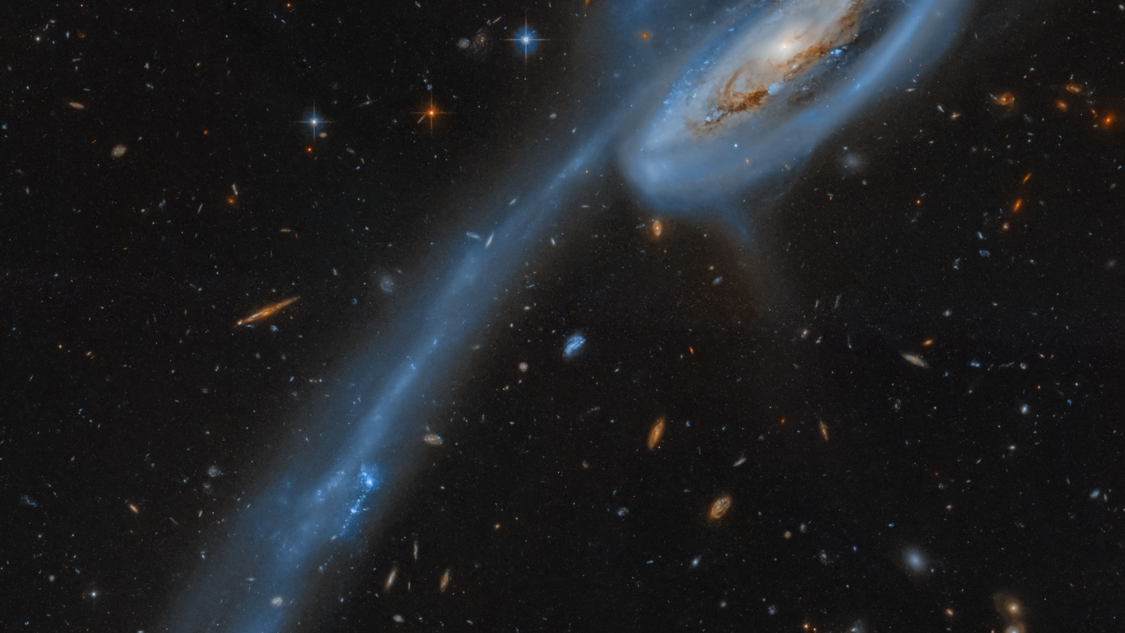 Lo más destacado de la NASA: la galaxia Tadpole es la foto astronómica del día 5 Hubble Legacy Archive, ESA, NASA; Harshwardhan Pathak