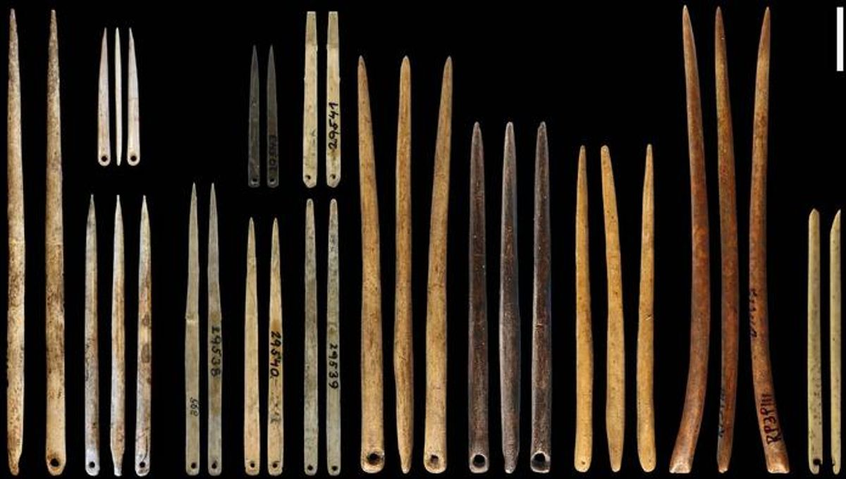 Los humanos del Paleolítico podrían haber inventado la ropa interior hace 40.000 años 5 Los humanos del Paleolítico podrían haber inventado la ropa interior hace 40.000 años