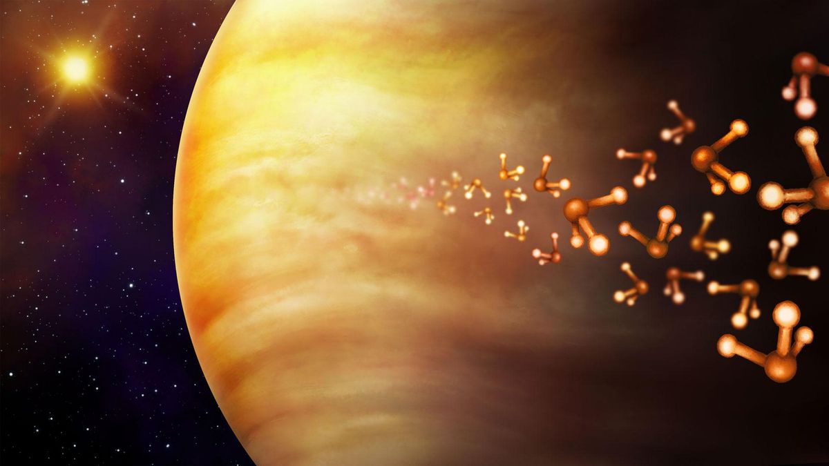 Se encuentra una nueva firma biológica de fosfina en la atmósfera de Venus 5 Danielle Futselaar/SETI Institute