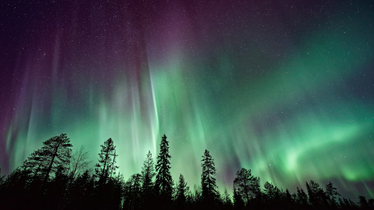 Vea fotos de la aurora después de la intensa tormenta solar del martes (30) 5 Vincent Guth/Unsplash