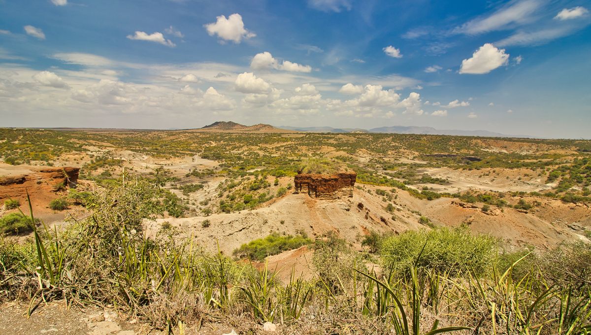 ¿Qué hace que la garganta de Olduvai sea tan especial? 5 ¿Qué hace que la garganta de Olduvai sea tan especial?