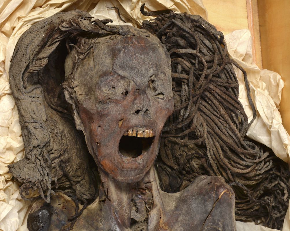 Una momia egipcia apodada "La mujer que grita" podría haber muerto en agonía