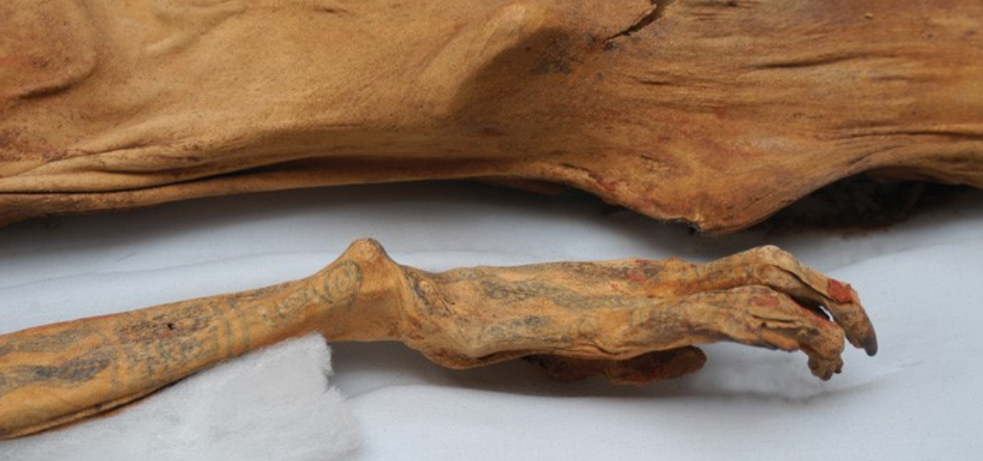 Tumba de la Reina Hechicera Tatuada, La Dama de Cao 8 Tumba de la Reina Hechicera Tatuada, La Dama de Cao