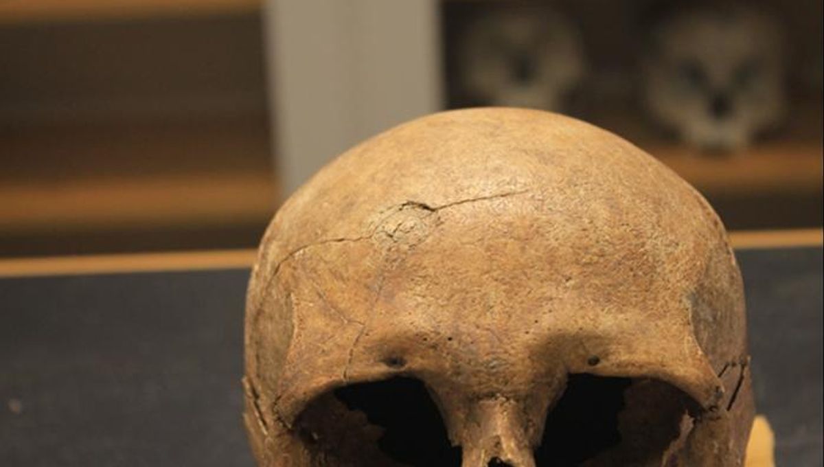 Entre los vikingos, una nación era mucho más violenta que otras 5 Entre los vikingos, una nación era mucho más violenta que otras