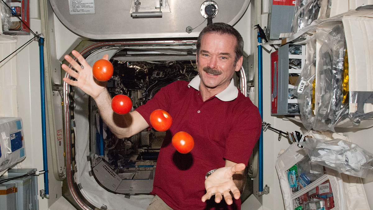 Finalmente descubrimos por qué la comida sabe tan mal en el espacio 5 NASA