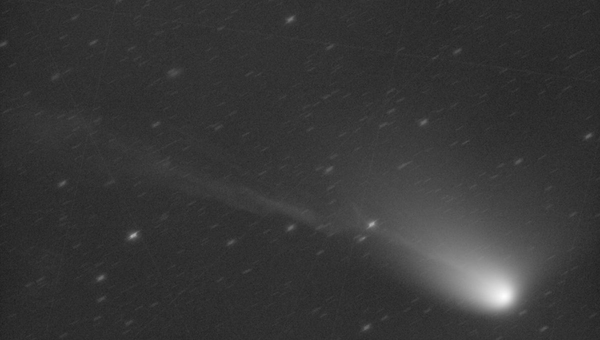 Impresionante nueva imagen del cometa Olbers muestra su cola en todo su esplendor 6 Impresionante nueva imagen del cometa Olbers muestra su cola en todo su esplendor