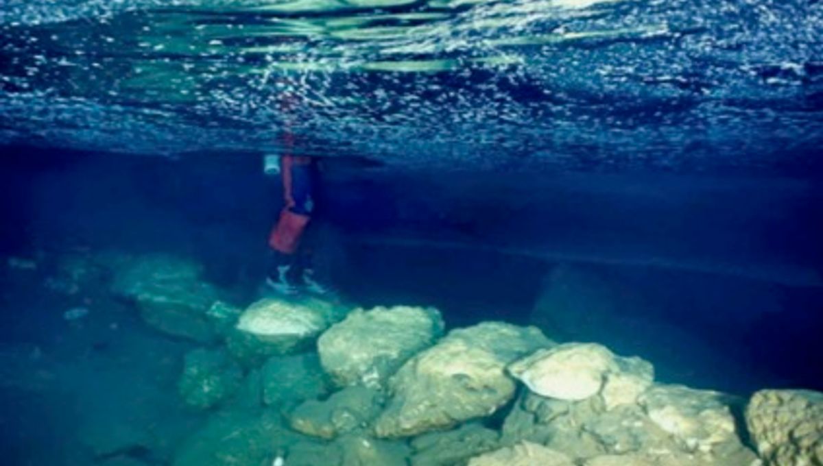 Un antiguo puente en una cueva hundida revela que los humanos llegaron a la isla 2.000 años antes de lo que se creía 5 Un antiguo puente en una cueva hundida revela que los humanos llegaron a la isla 2.000 años antes de lo que se creía