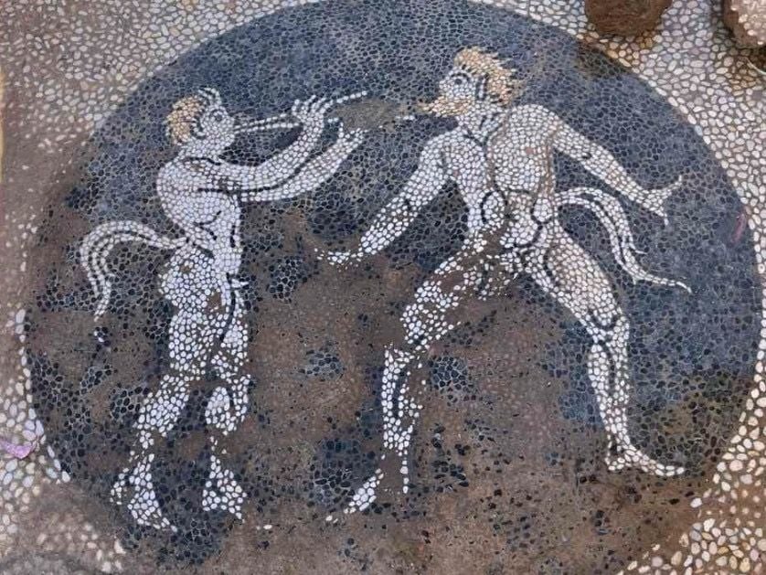 Obreros se topan con un antiguo mosaico griego de sátiros danzantes 6 Obreros se topan con un antiguo mosaico griego de sátiros danzantes