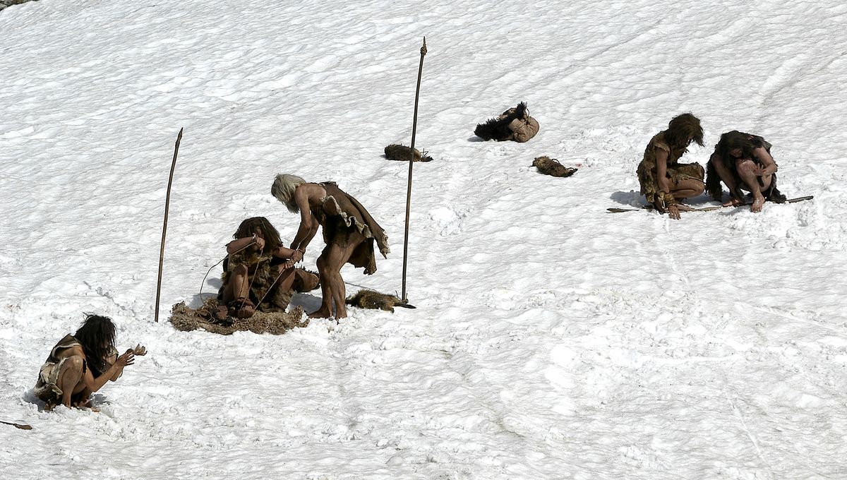 ¿Qué alimentos comieron los neandertales para sobrevivir en la Edad de Hielo? 5 ¿Qué alimentos comieron los neandertales para sobrevivir en la Edad de Hielo?