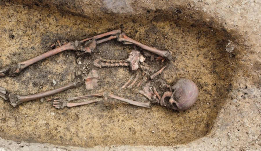 50 esqueletos vikingos daneses desenterrados en un estado de "conservación excepcional" 8 50 esqueletos vikingos daneses desenterrados en un estado de "conservación excepcional"