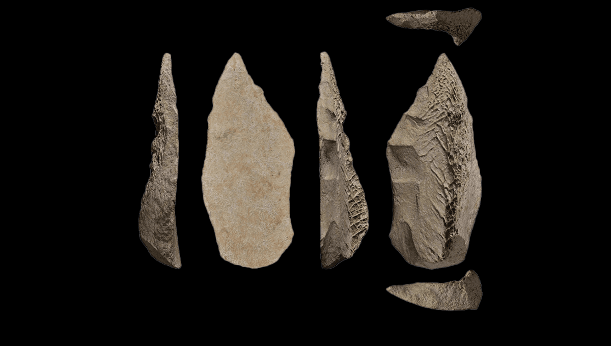 La primera punta de lanza de hueso de Neandertal de 50.000 años de antigüedad demuestra que eran artesanos "flexibles"