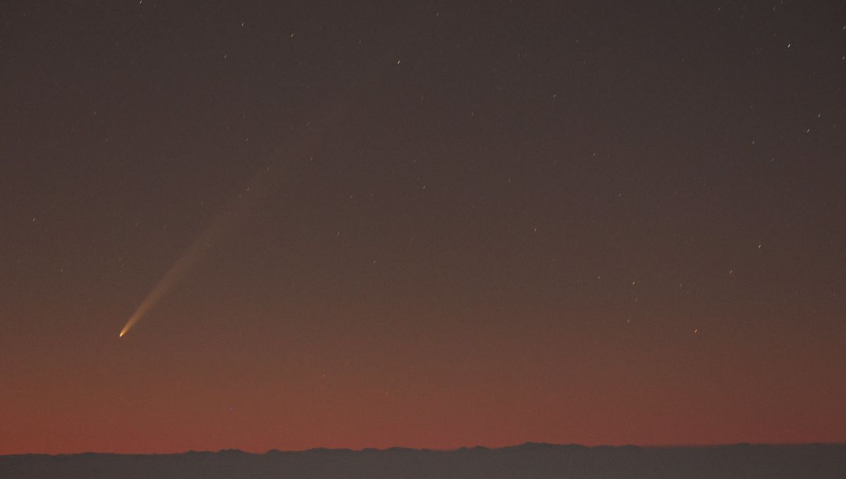 No, el cometa Tsuchinshan-ATLAS no retrocede en el cielo 6 No, el cometa Tsuchinshan-ATLAS no retrocede en el cielo