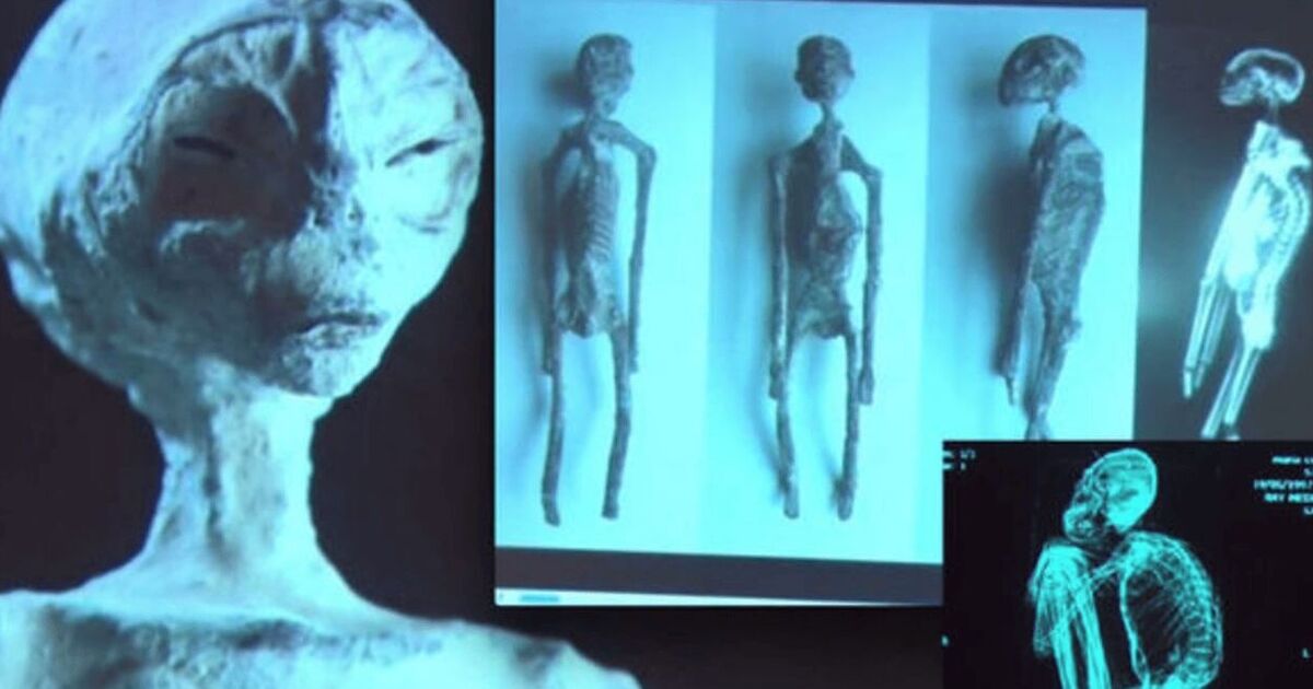 Los científicos hacen un descubrimiento sorprendente después de diseccionar cuerpos de 'momias alienígenas' 5 Los científicos hacen un descubrimiento sorprendente después de diseccionar cuerpos de 'momias alienígenas'