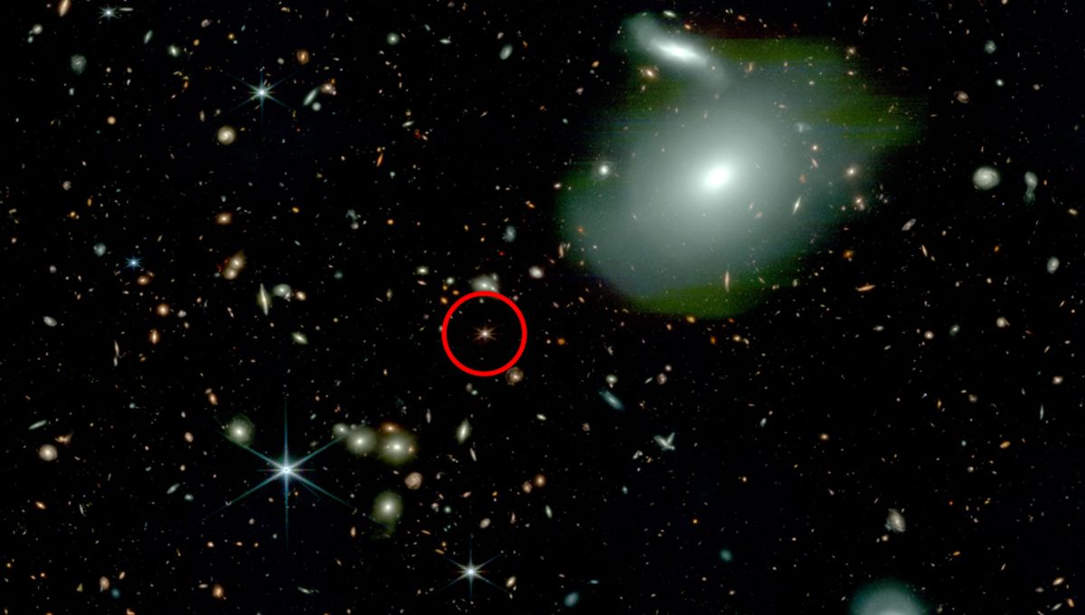 Cuásares solitarios vistos por JWST desafían la teoría de la formación esperada 5 Cuásares solitarios vistos por JWST desafían la teoría de la formación esperada