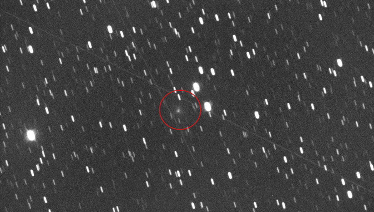 El cometa A11bP7I recién descubierto pronto podría ser más brillante que Venus