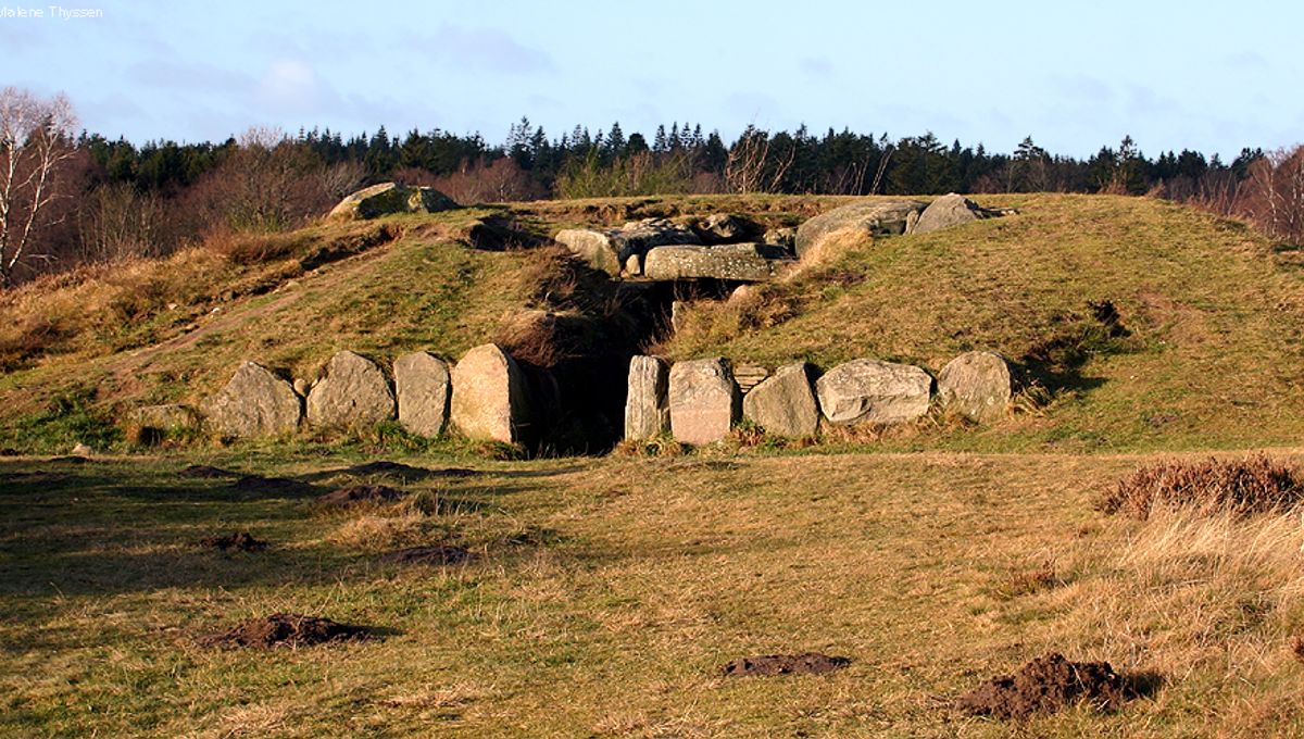 Extraña estructura subterránea de 5.000 años de antigüedad descubierta en una vivienda neolítica en Dinamarca 5 Extraña estructura subterránea de 5.000 años de antigüedad descubierta en una vivienda neolítica en Dinamarca
