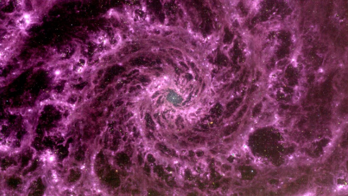 James Webb descubre una galaxia “al revés” 5 Gabriel Brammer/Janice Lee et al/PHANGS-JWST