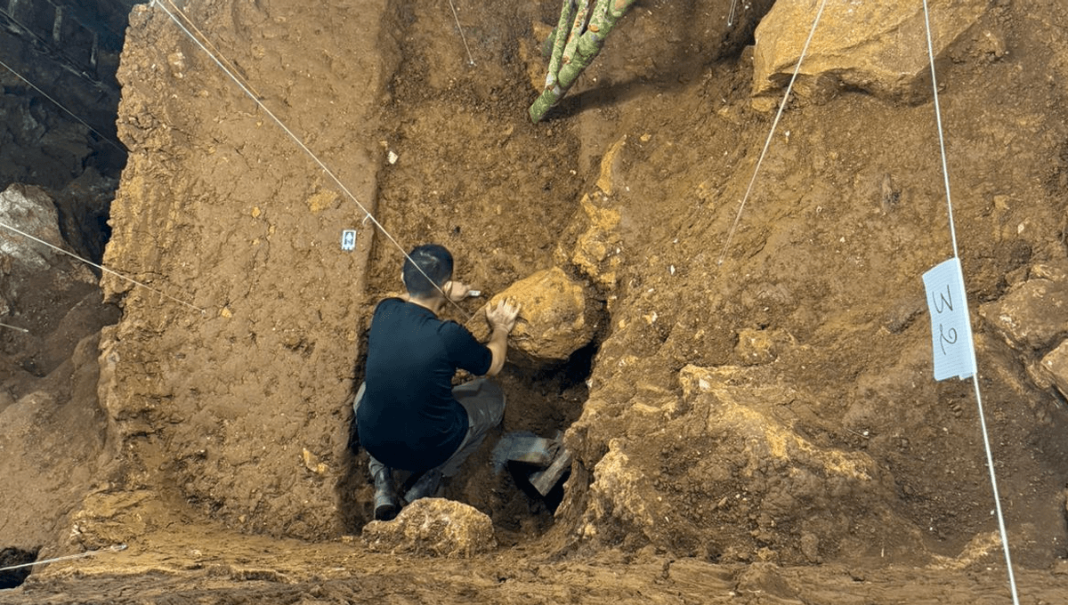 Se encuentran rastros de fuego en una cueva que contiene los restos humanos modernos más antiguos del sudeste asiático 5 Se encuentran rastros de fuego en una cueva que contiene los restos humanos modernos más antiguos del sudeste asiático