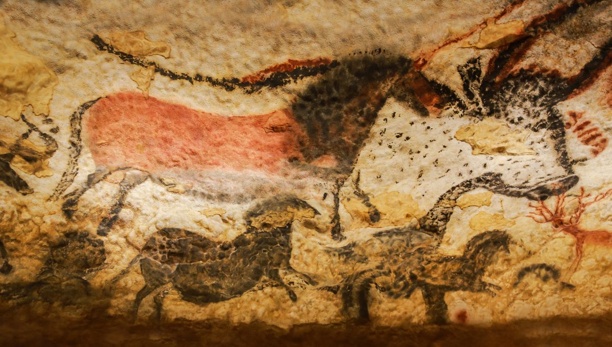 ¿Quiénes eran los cromañones? 5 ¿Quiénes eran los cromañones?
