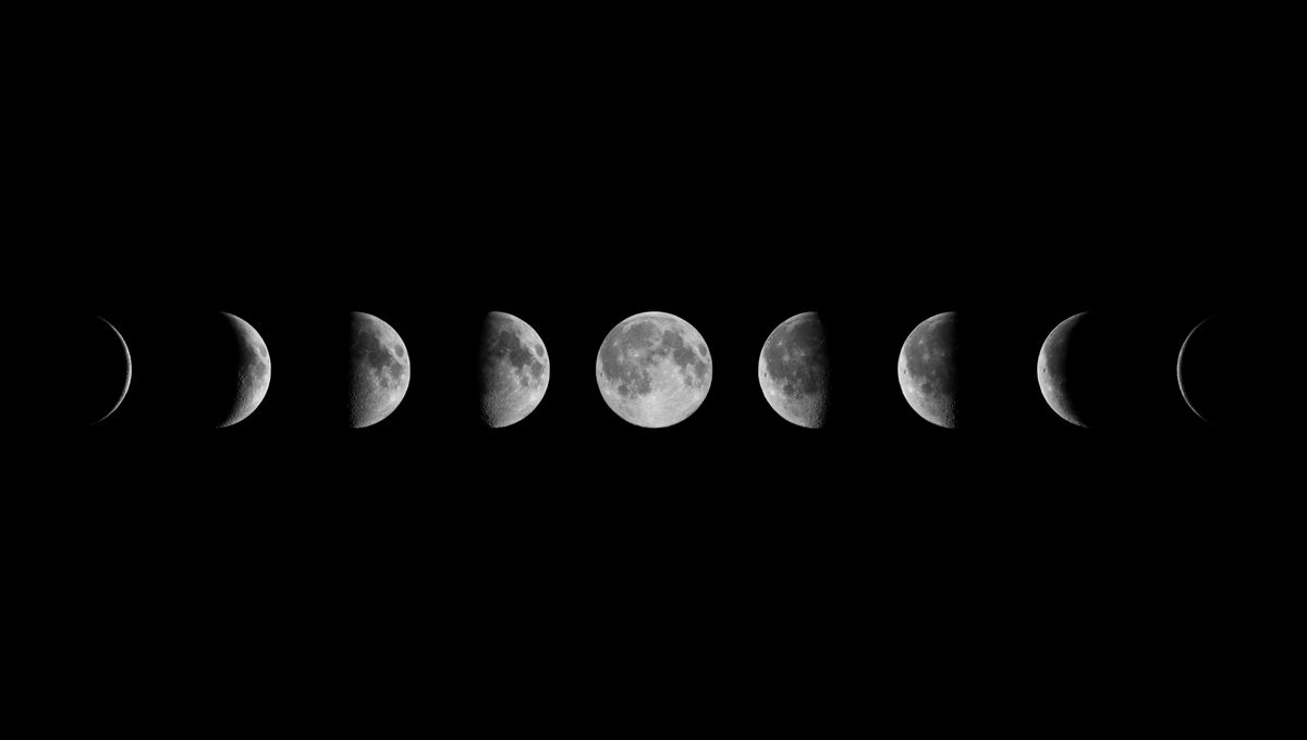 El nuevo juego de Google es una forma divertida de aprender sobre el ciclo lunar