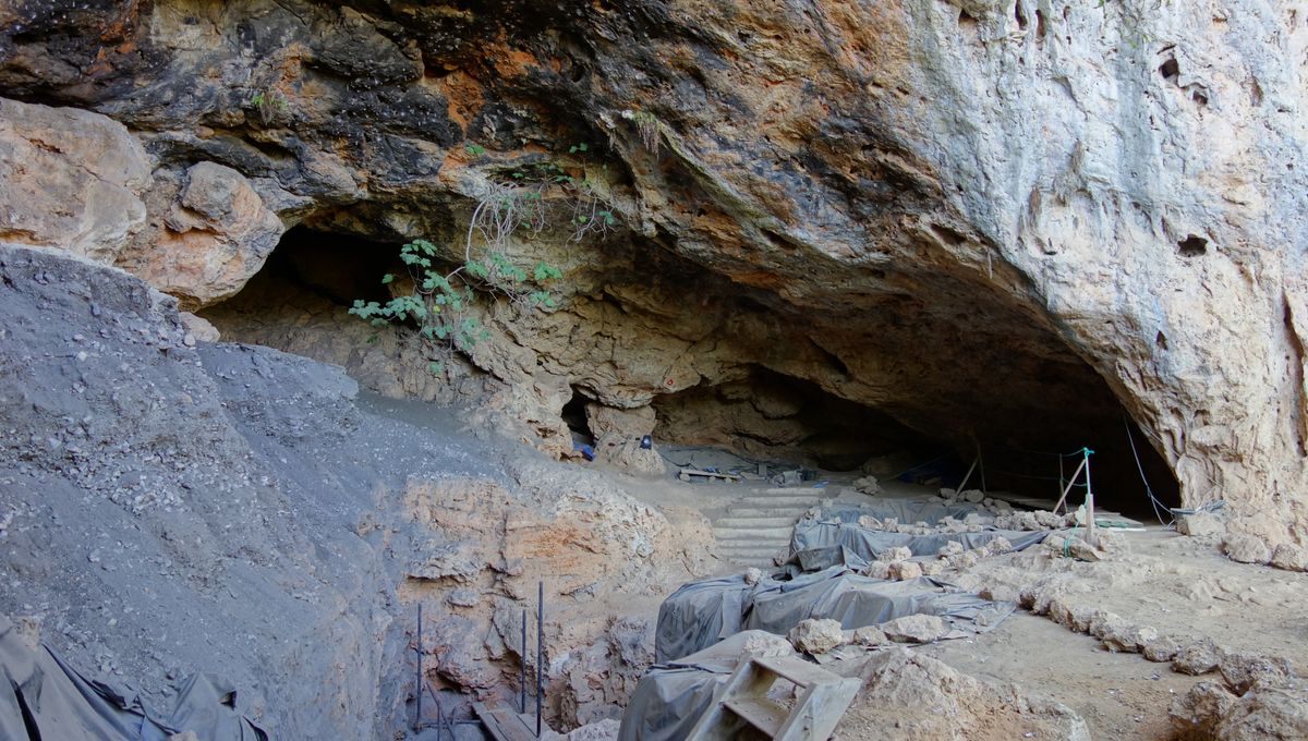 Una cueva en el norte de África contiene evidencia de uso de drogas de hace 15.000 años 5 Una cueva en el norte de África contiene evidencia de uso de drogas de hace 15.000 años