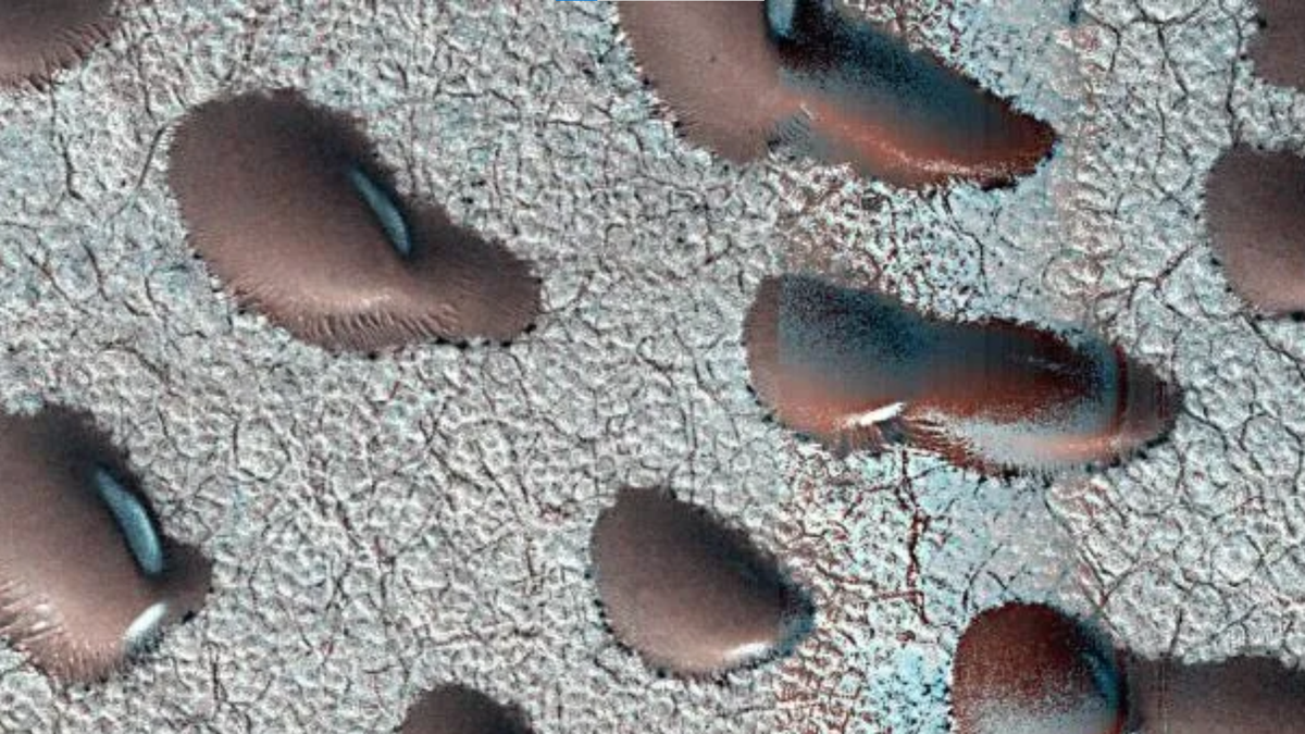 Los "frijoles gigantes" podrían ayudar en la búsqueda de vida en Marte 5 NASA/JPL-Caltech/University of Arizona