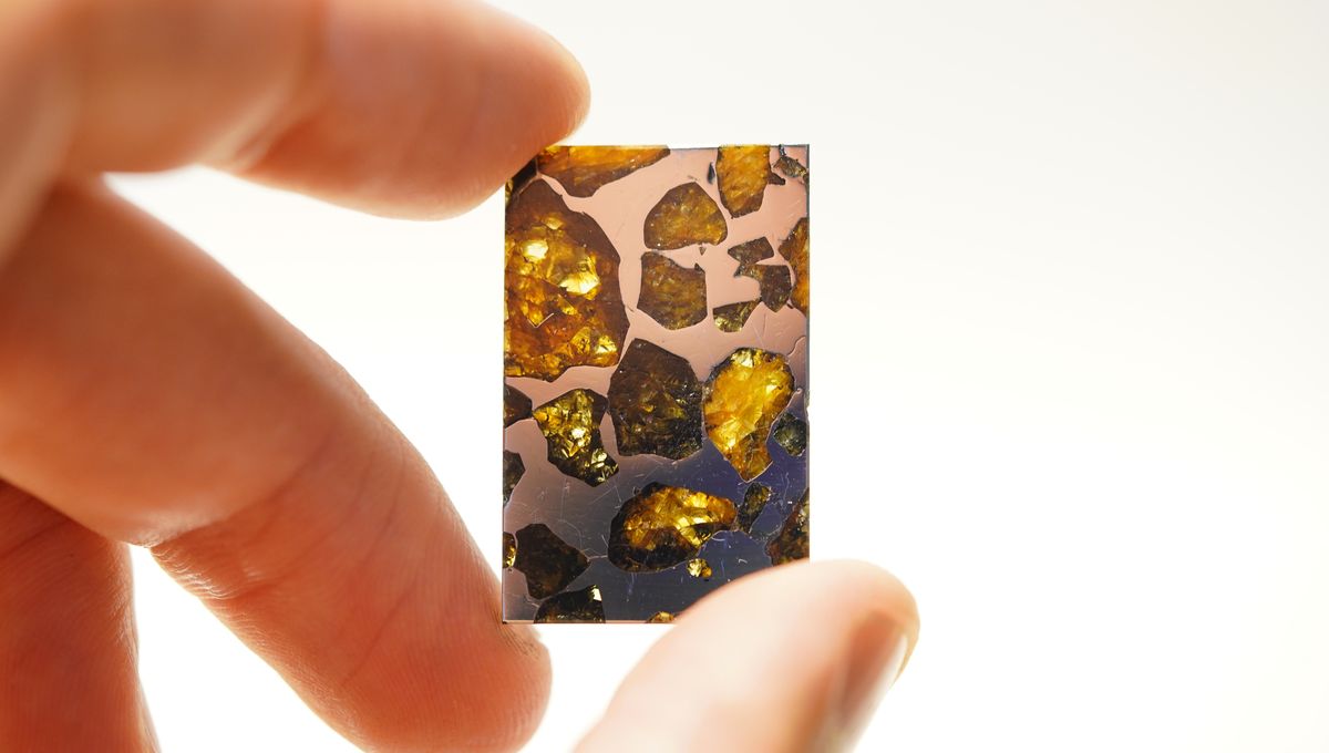 Meteoritos de palasita: las hermosas rocas espaciales de piedras preciosas que desconciertan totalmente a los científicos 5 Meteoritos de palasita: las hermosas rocas espaciales de piedras preciosas que desconciertan totalmente a los científicos