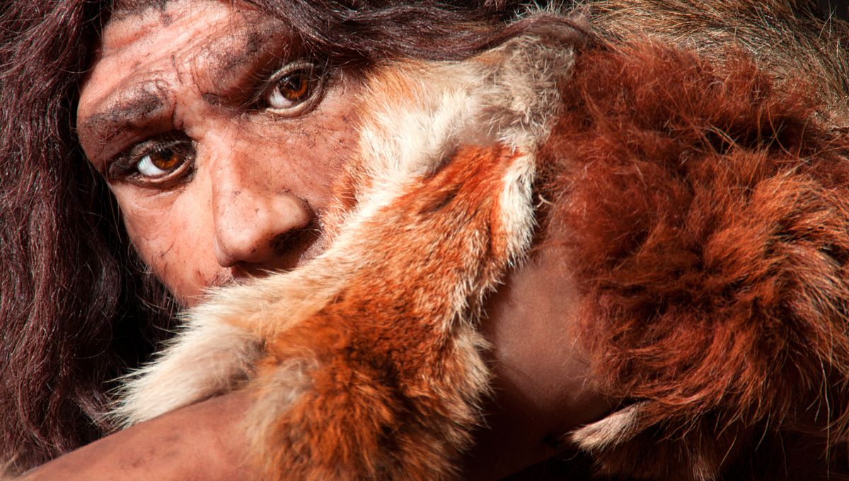 ¿Qué color de ojos, cabello y piel tenían los neandertales? 5 ¿Qué color de ojos, cabello y piel tenían los neandertales?