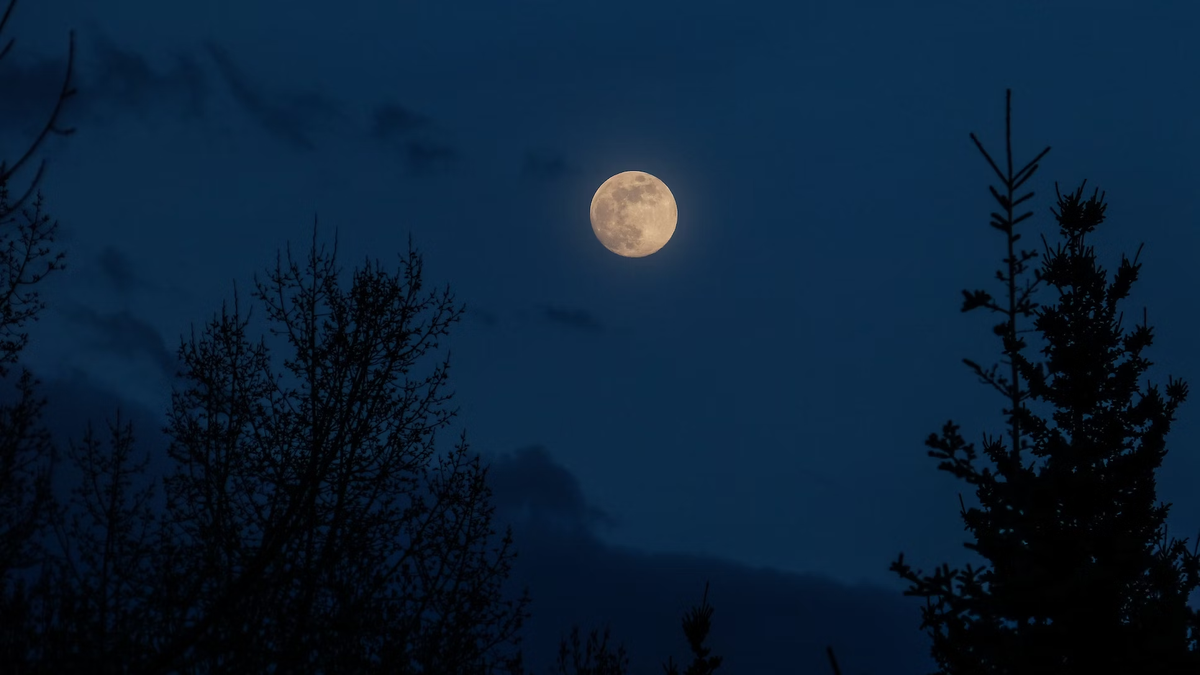 Moon "se encoge" este lunes? Entender qué es Microlua 5 Kym MacKinnon/Unsplash