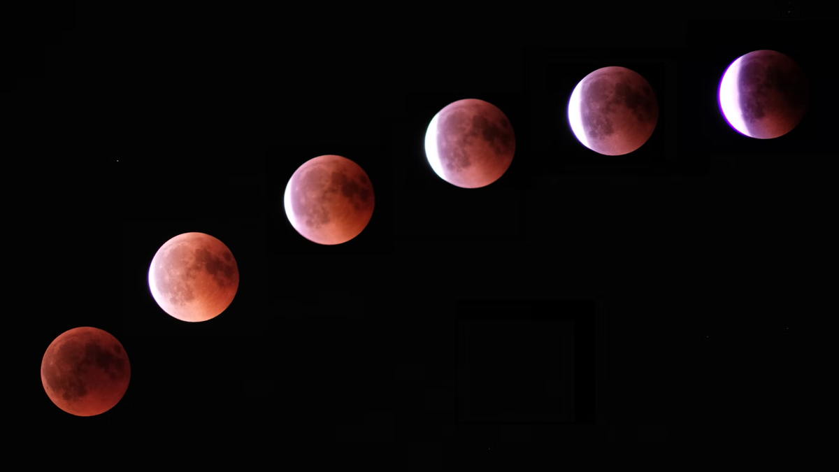 Eclipse lunar: mientras Colombo usaba la luna de sangre para salvar a su tripulación 5 Matteo Grassi/Unsplash