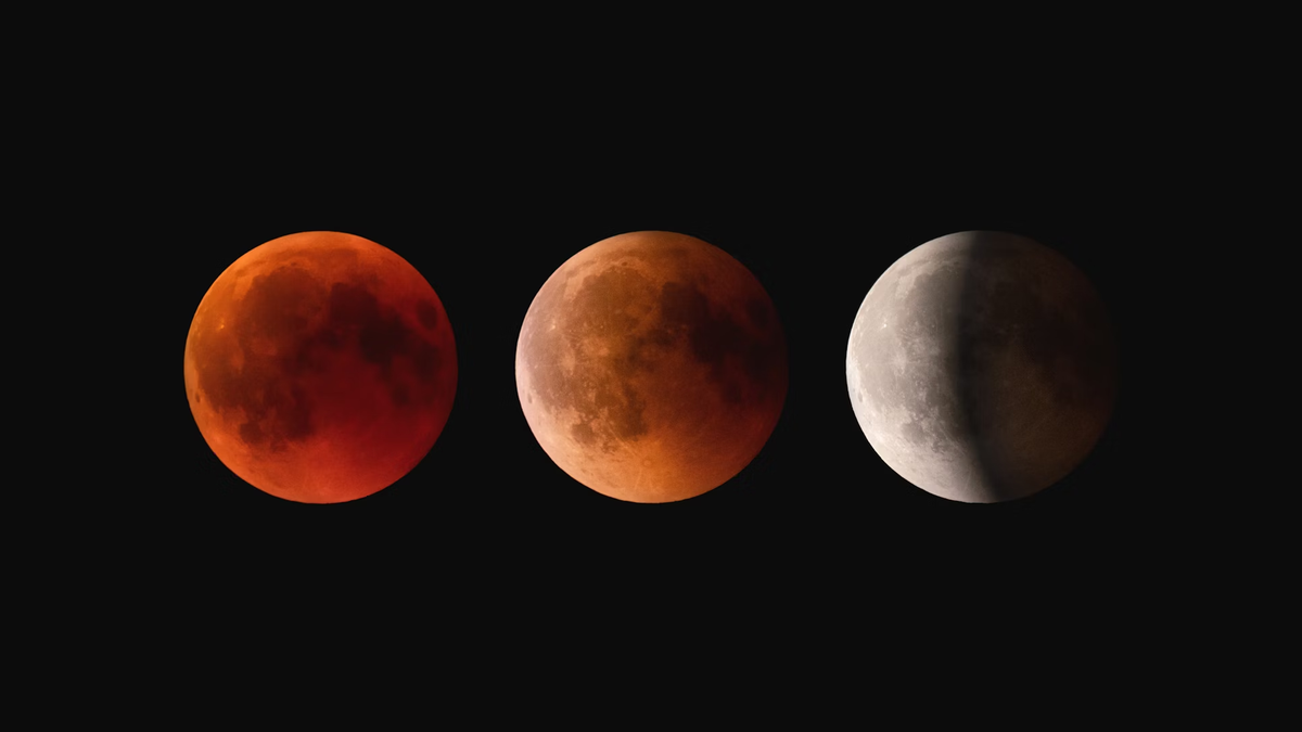 Eclipse lunar: vea las fotos más sorprendentes de la luna de sangre este viernes 5 Claudio Testa/Unsplash