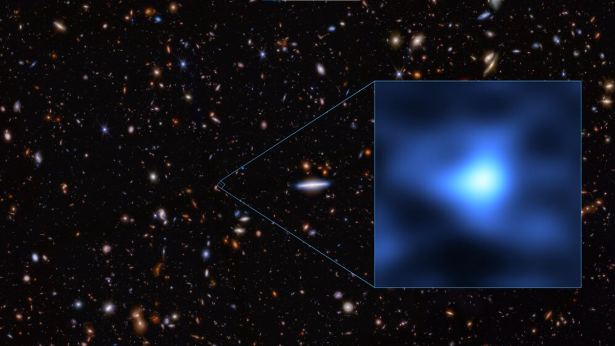 ALMA (ESO/NAOJ/NRAO)/S. Carniani et al./S. Schouws et al
