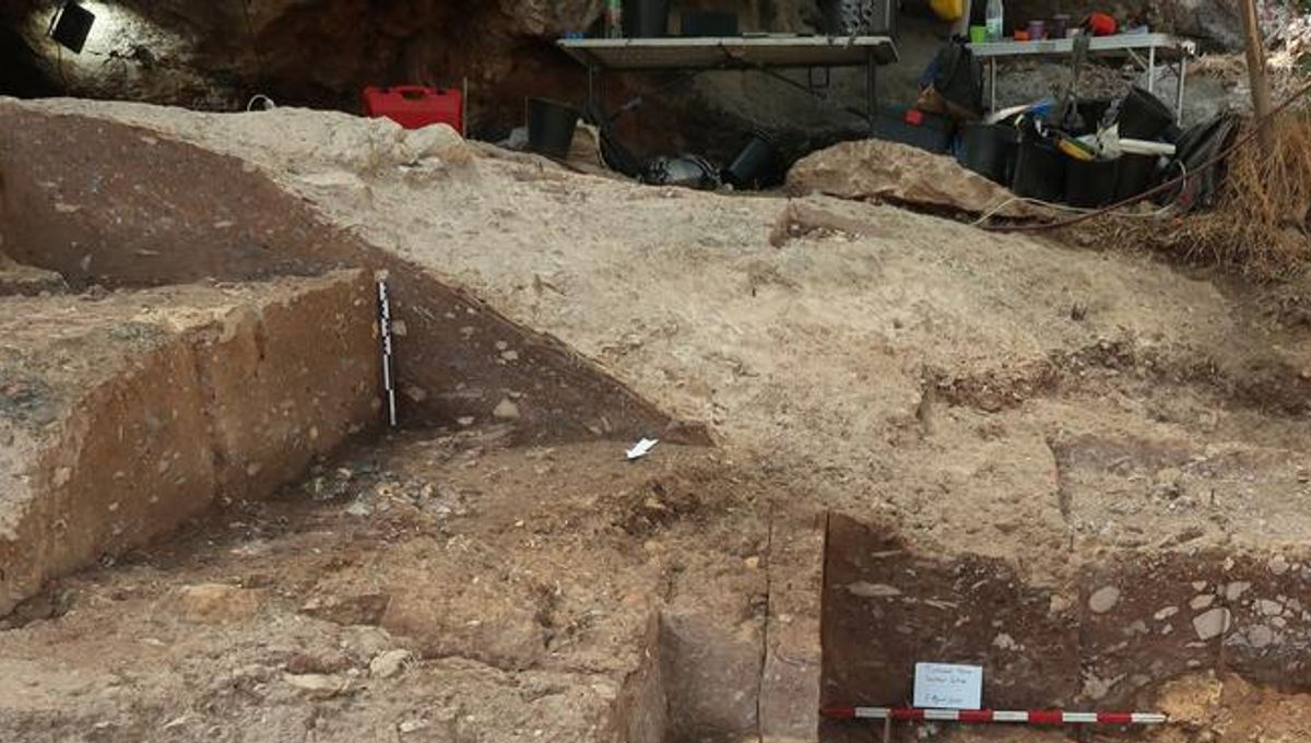 Los entierros humanos más antiguos del mundo muestran neandertales y homo sapiens cultura y tecnología compartidas 5 Los entierros humanos más antiguos del mundo muestran neandertales y homo sapiens cultura y tecnología compartidas