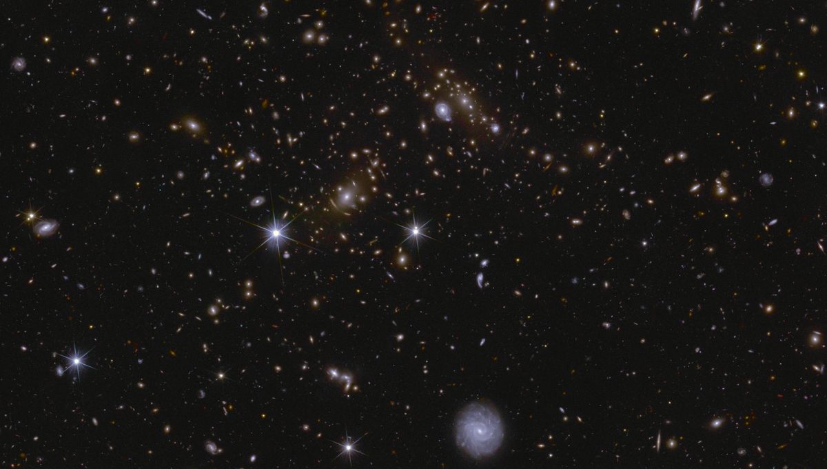 Los increíbles nuevos campos profundos de Euclid son una mirada preciosa en el universo oscuro 5 Los increíbles nuevos campos profundos de Euclid son una mirada preciosa en el universo oscuro